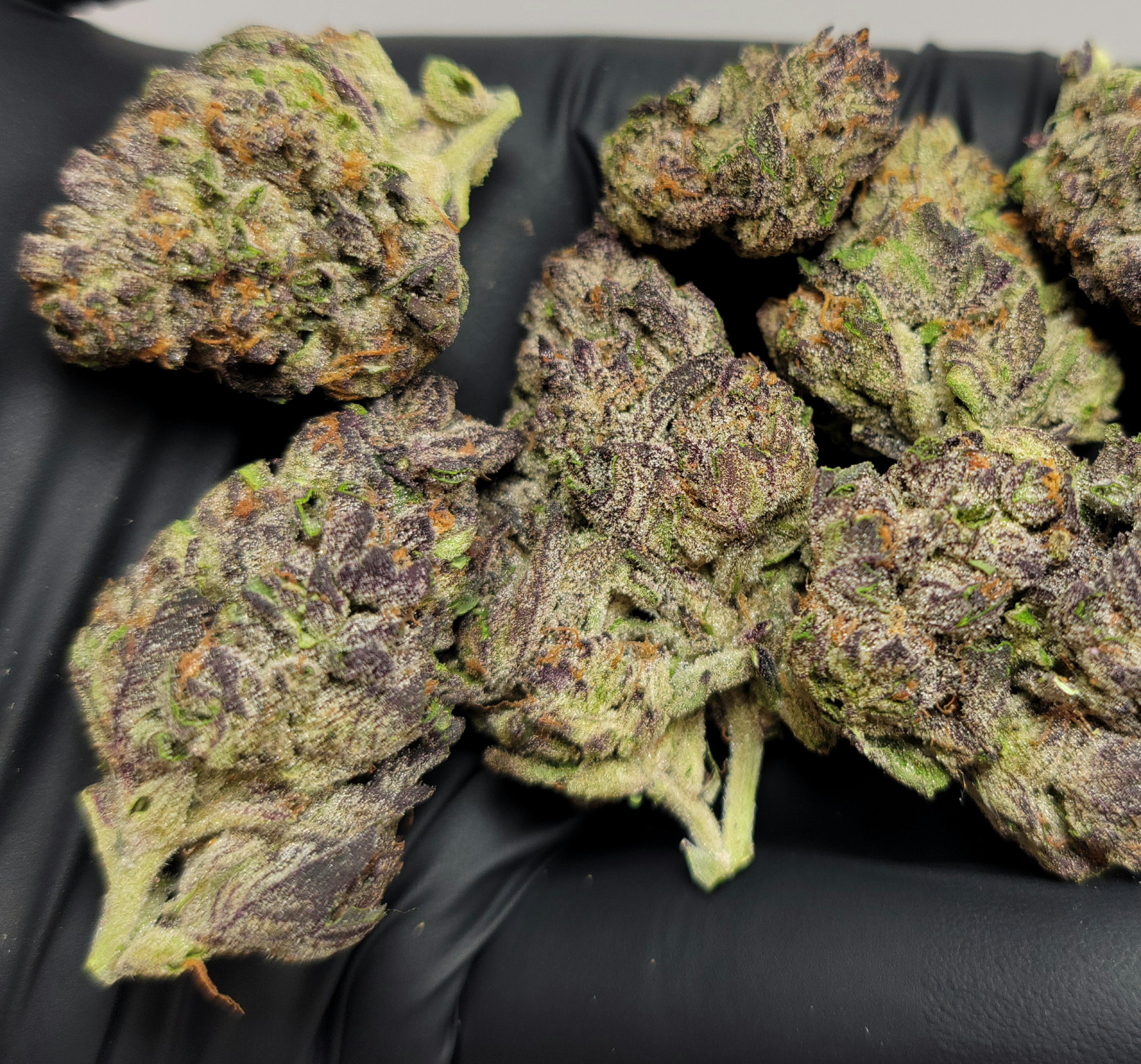 Peanut Butter Breath THCa flower federally legal gas blossom hemp co